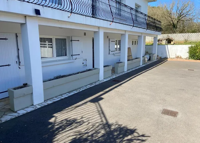 Campagne Vignobles * Brétignolles-sur-Mer